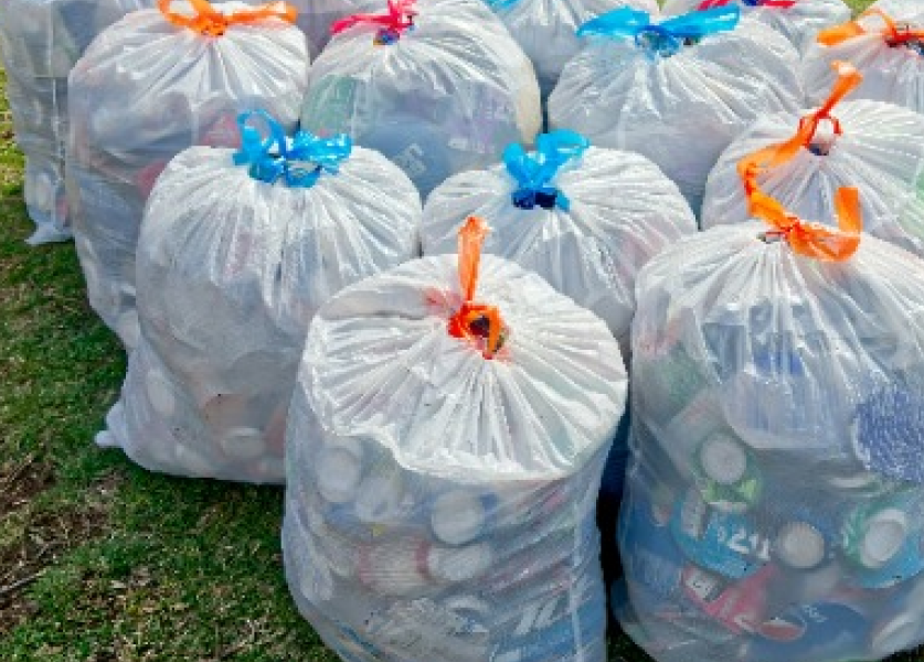 Plasticplace Trash Bags for Home and Business