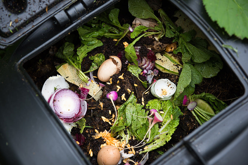 What Goes in a Compost Bin?