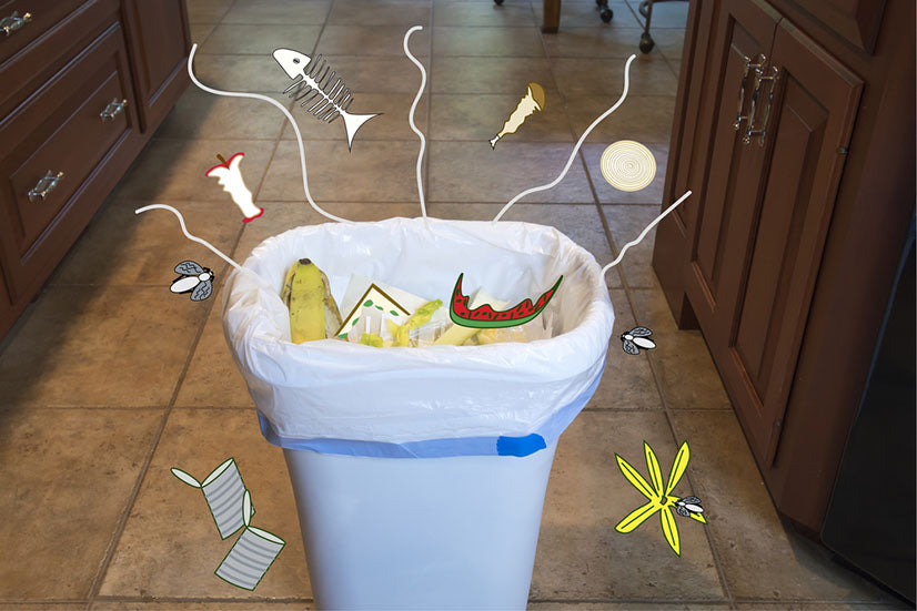 How to Keep Flies Away from Your Trash Can