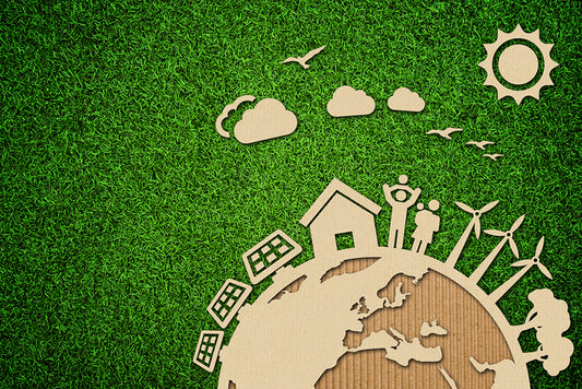 How to Recycle Cardboard: 9 Helpful Tips