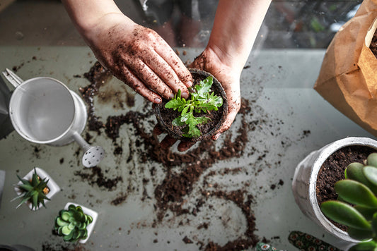 How Long Does It Take Compost to Break Down Before You Can Use It?