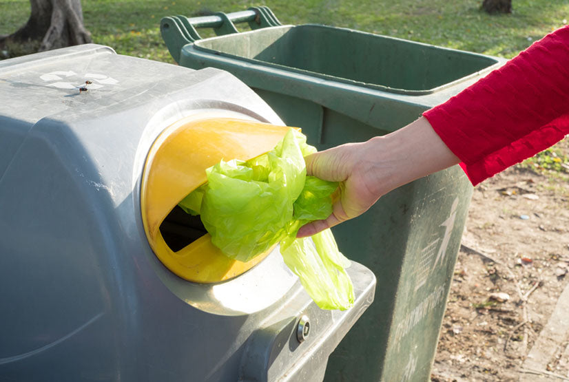 Are Plastic Bags Recyclable? Everything You Need to Know About Plastic Bag Disposal