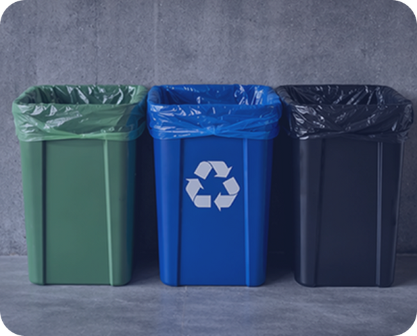 Compostable Bags